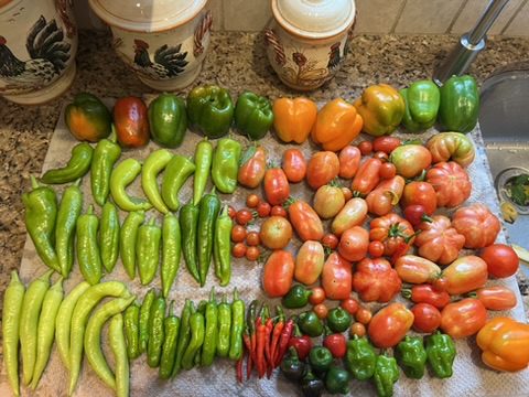 AEFC17C6-B614-4E94-9117-C1D2FABB42D0_4_5005_c