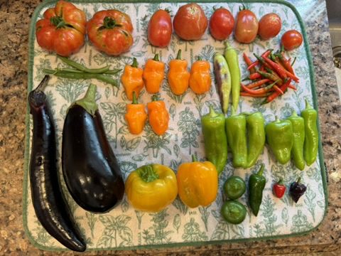 AFD58C45-3BD7-4A84-BD0A-E47E8387B5EB_4_5005_c