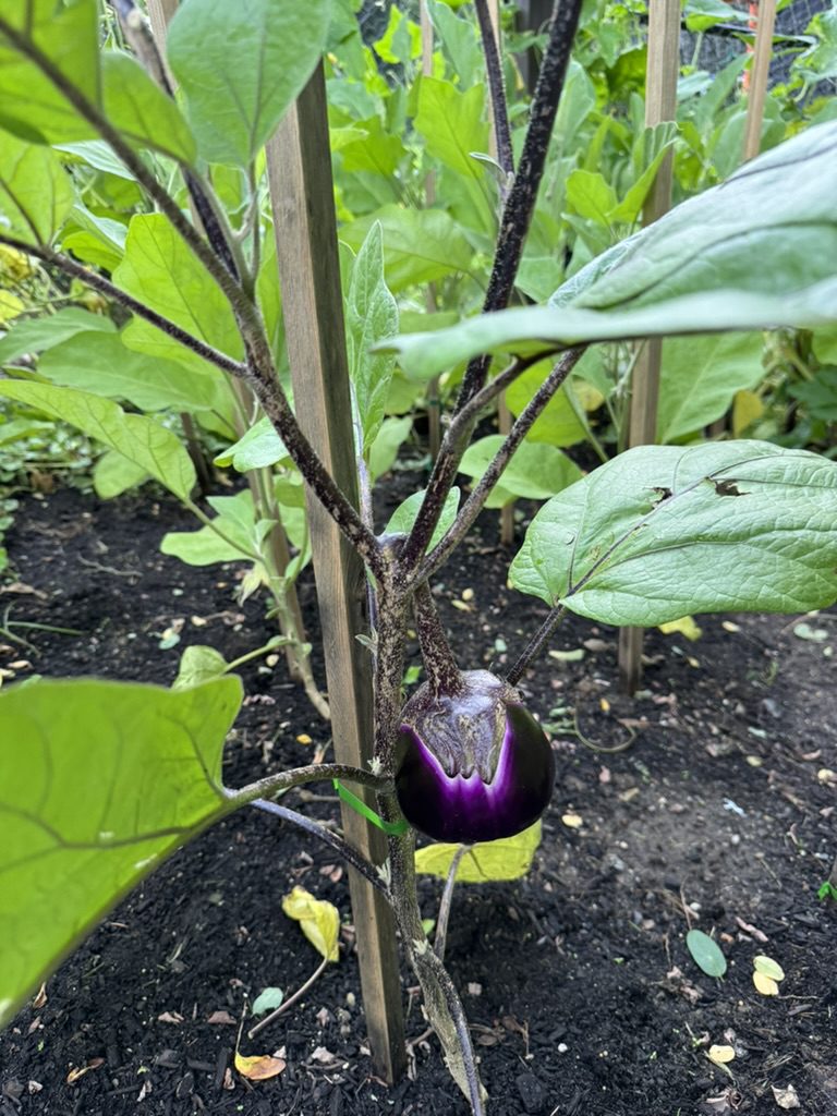 B076C0AC-F4D1-4D3E-B620-72B792EB1567_1_105_c