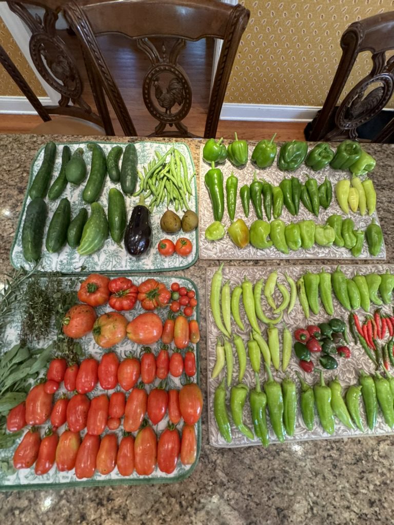 B52B0888-AEB8-46BA-8E5E-7F92842CDD52_1_105_c