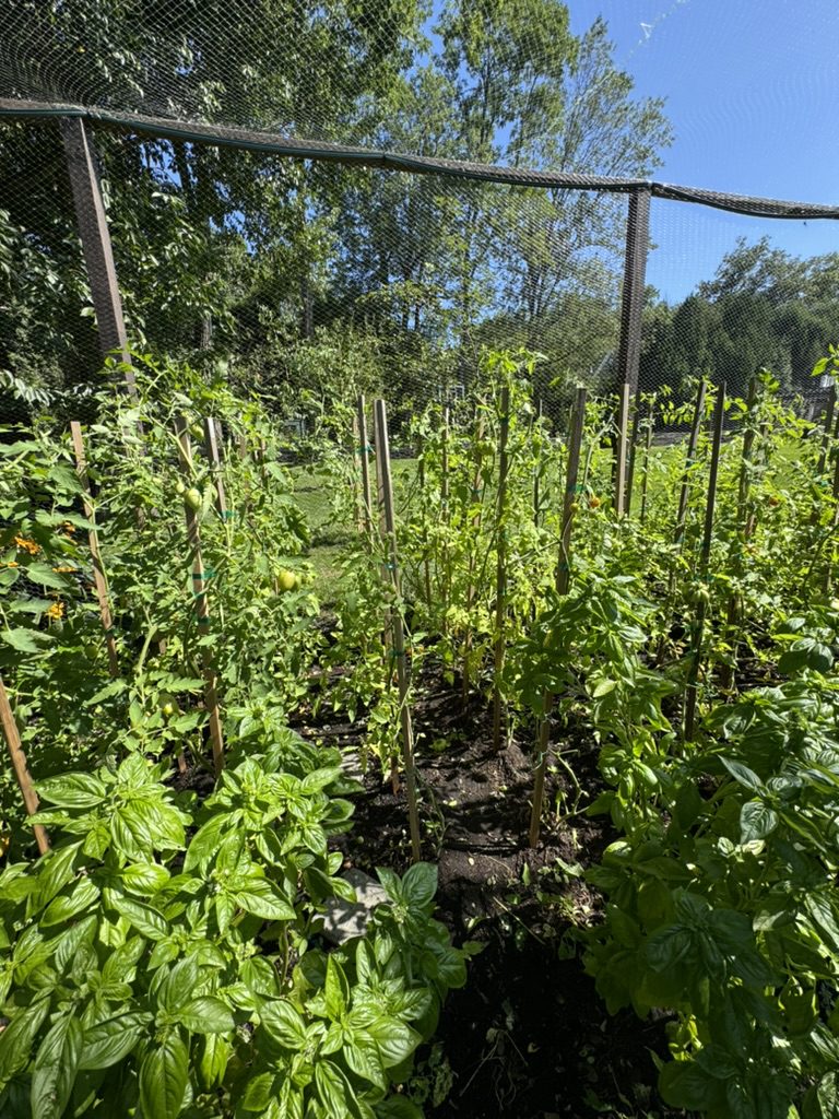 B86AA134-2096-4E5F-AF53-3C5D8EA995F5_1_105_c