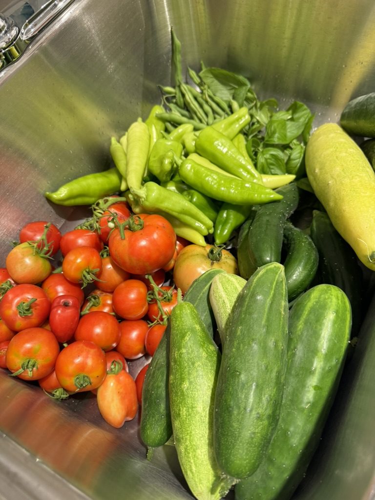 BA769E8B-4269-4D40-B5BA-D2D0251F75E9_1_105_c