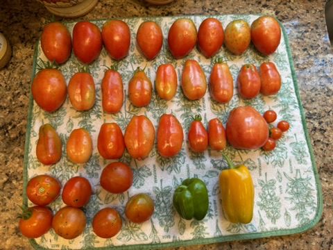 BB09FB1A-F306-4AD4-A3A3-A5E0E9BF4F92_4_5005_c