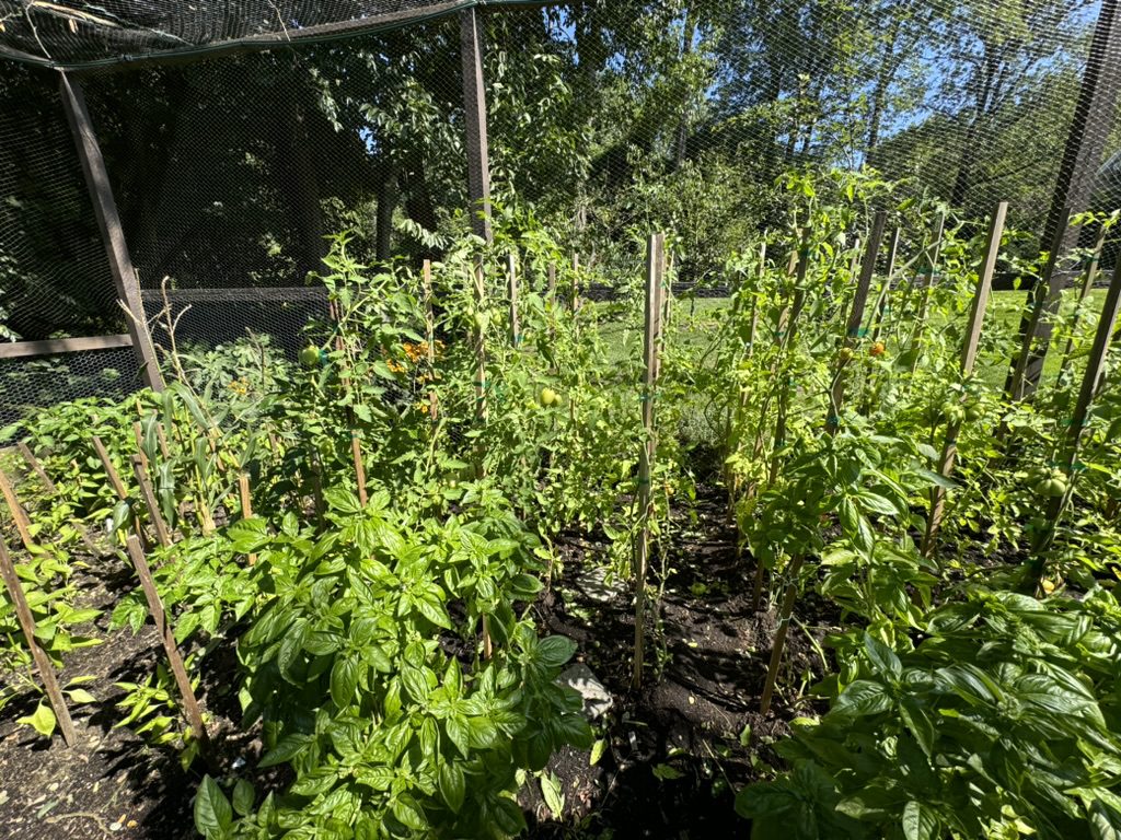 BF51E930-D068-4532-B43B-5320BCC49137_1_105_c