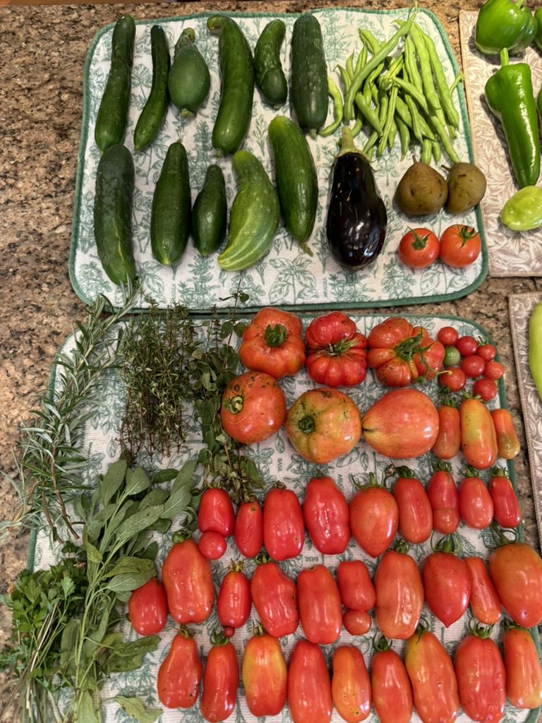 BF67A23C-3637-462D-9F45-C9C0D4D1E8A1_1_105_c