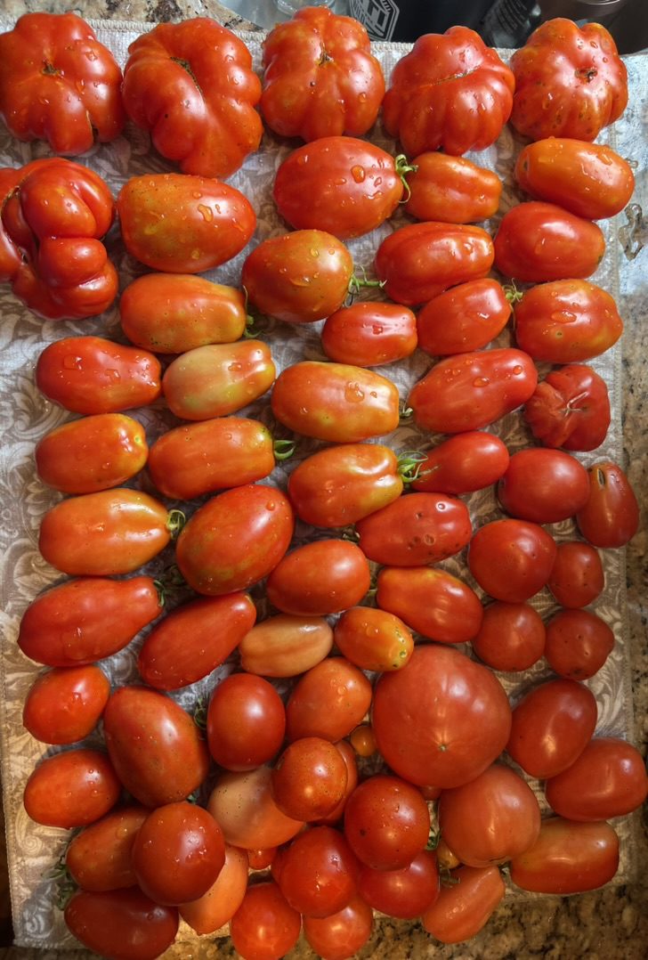 BFDCF52F-544A-4940-AC27-4C5C7A14FE9B_1_105_c