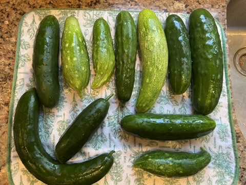 CC4F6A2E-08BD-4F57-8FA8-126A8651C7E9_4_5005_c