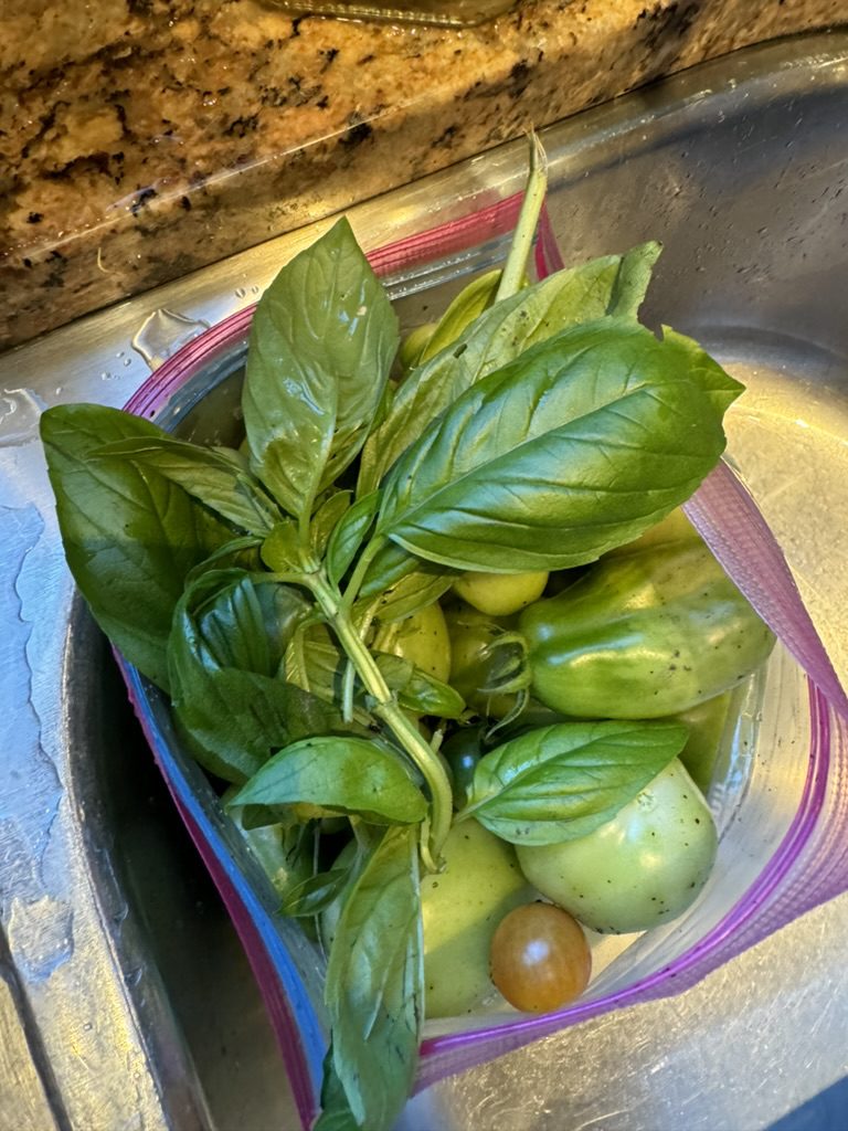 CE6B4B77-81B3-47CF-B782-C542992A53A6_1_105_c