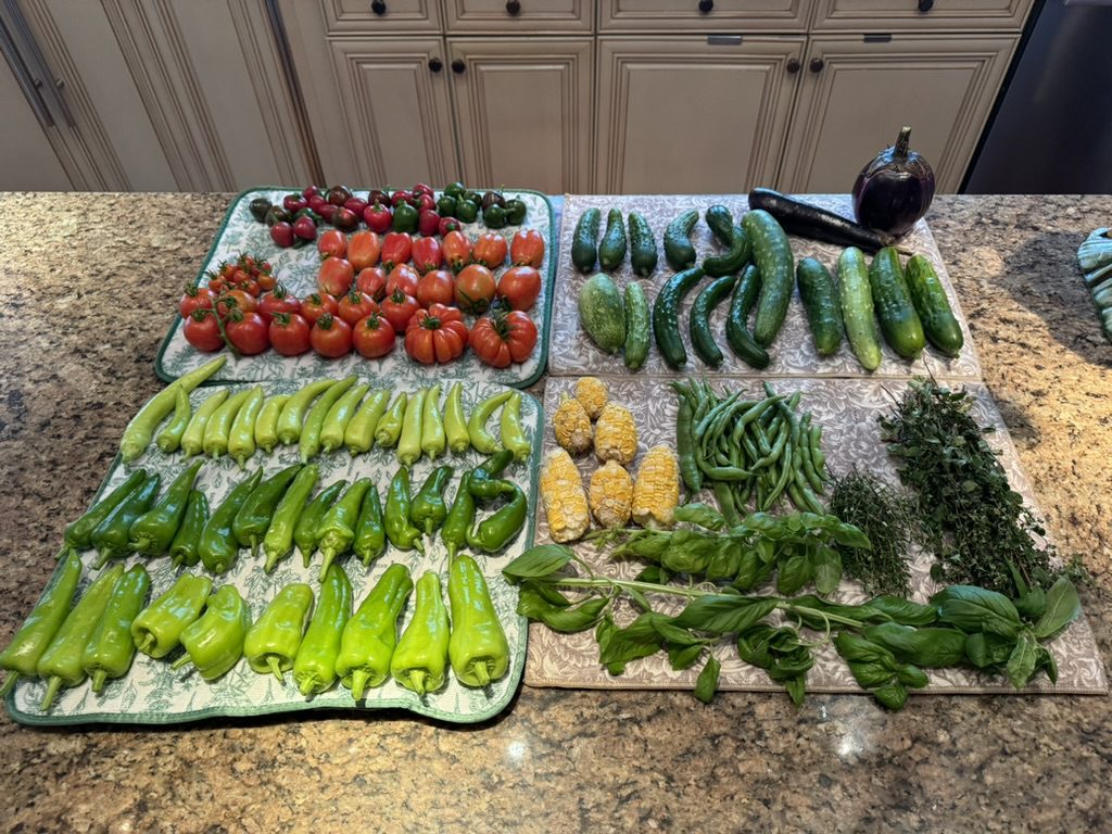 CFFB0F30-28DD-40B2-A5CB-F5D2E8C3EA45_1_105_c