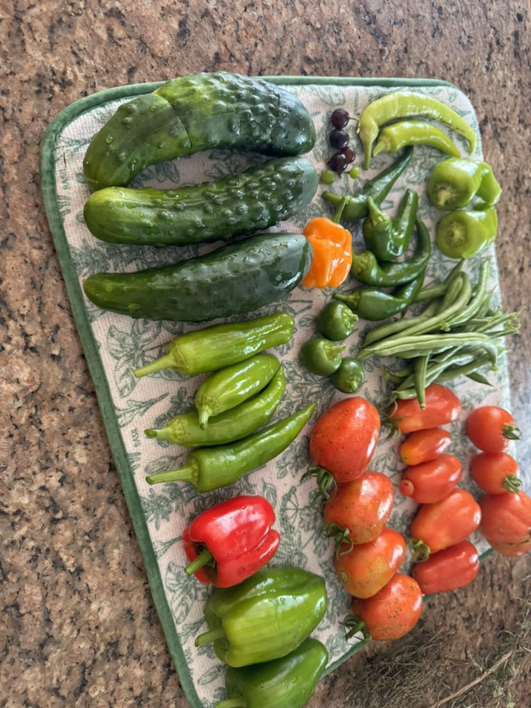 D59F6707-A7FA-4283-B31C-99CFECE8B159_1_105_c