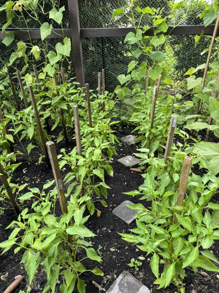 DFE6C459-E461-4C91-AD20-071BB181A1FA_1_105_c