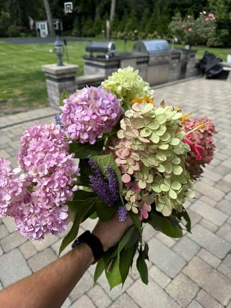 E0440B97-EC22-4F9F-A806-F8F16B77476C_1_105_c