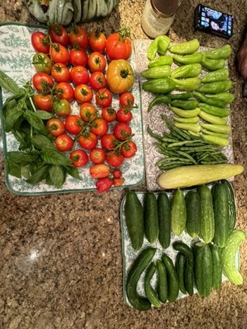 E112F0D3-F766-4A49-91DF-5F4678D221C4_4_5005_c