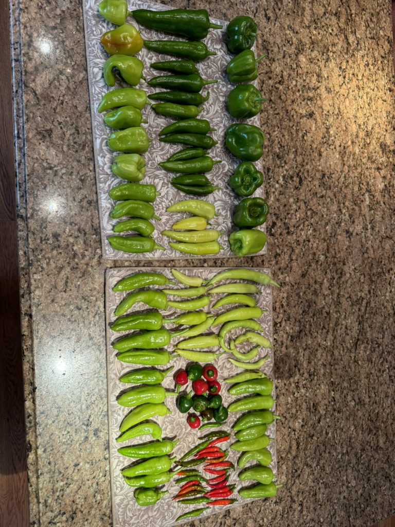 E21C4DA3-4CBB-45B8-9A26-F86E9BC1F8E4_1_105_c