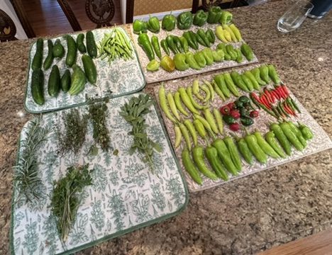 E9C4BE58-9170-4866-A408-B0658ECCB657_4_5005_c