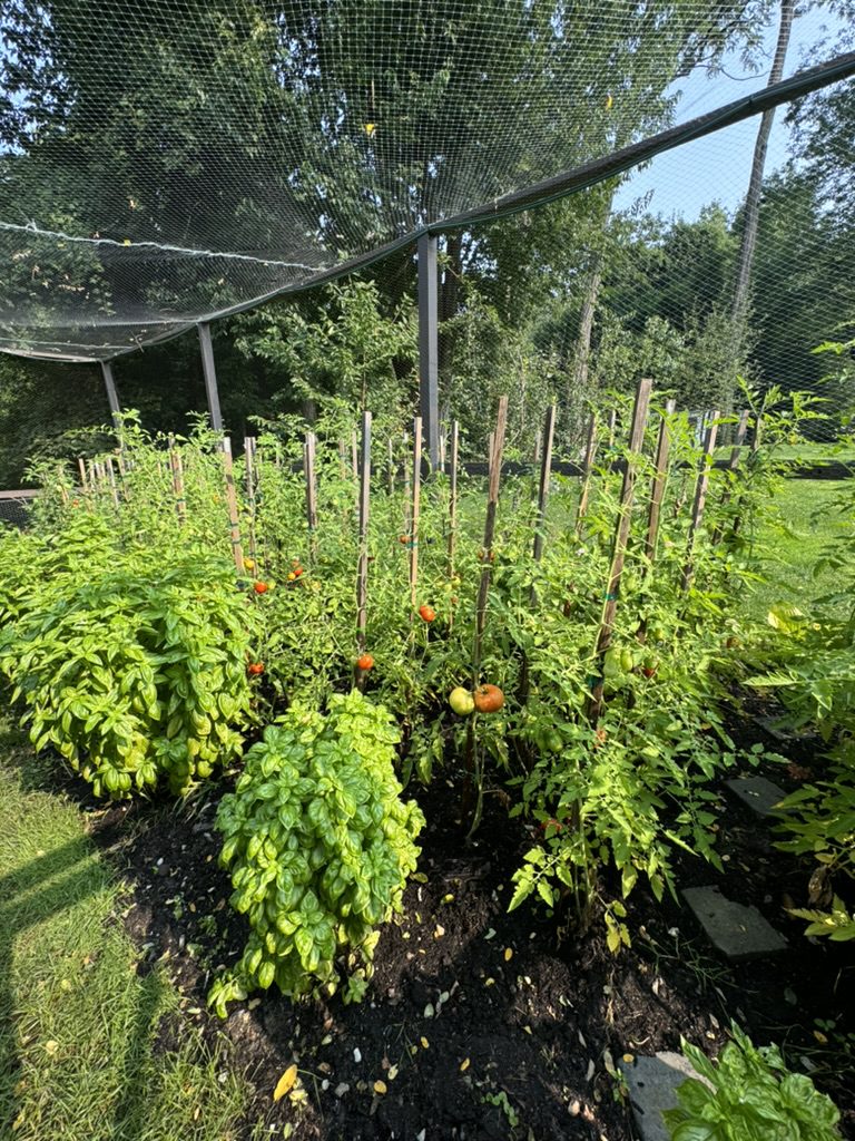 EB056A4A-F42E-48EA-81AC-3CC5BDB3BE76_1_105_c