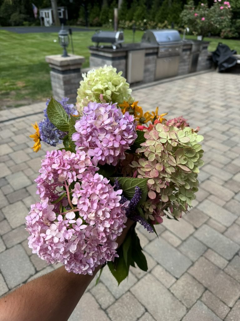 EBA71CC4-E833-49EA-837C-C9F9DF66F366_1_105_c