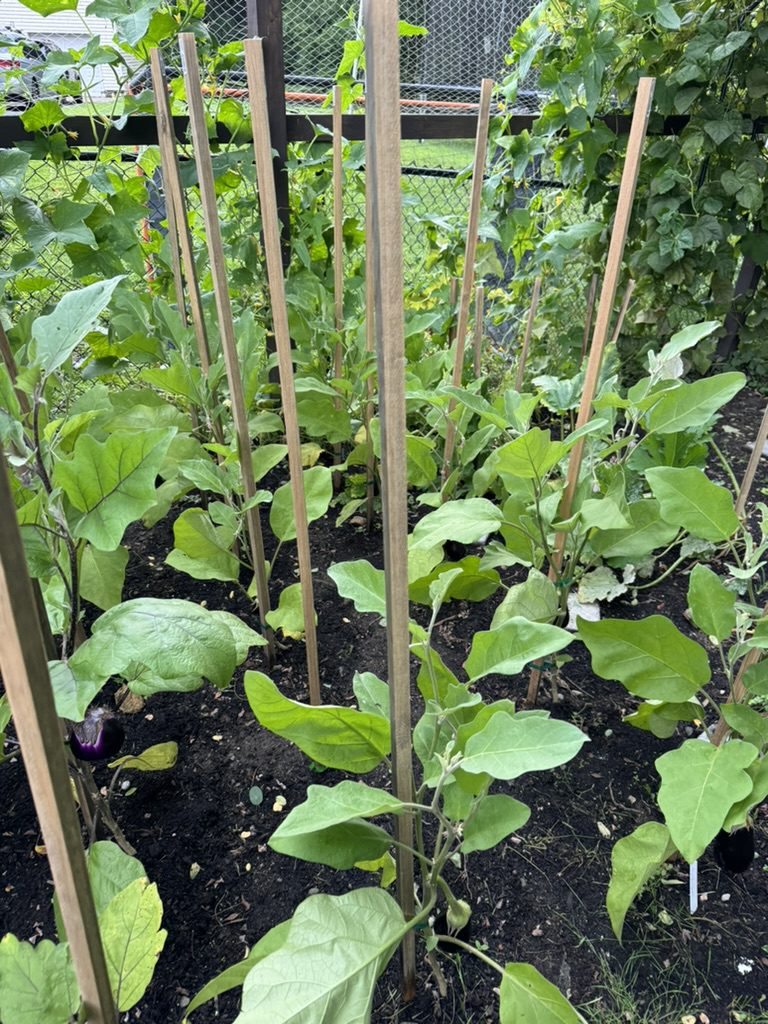 EBBFB3EA-3123-42E7-9E93-69E9B081B949_1_105_c