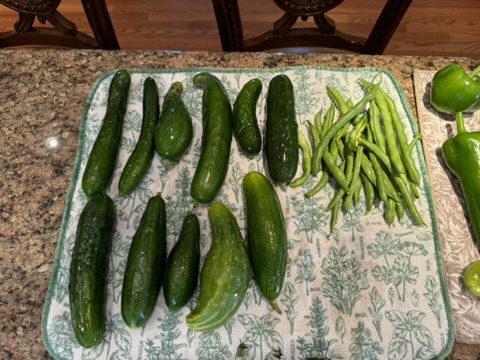 EECD1BBF-F956-4F15-9AC2-A754A2815C6B_4_5005_c