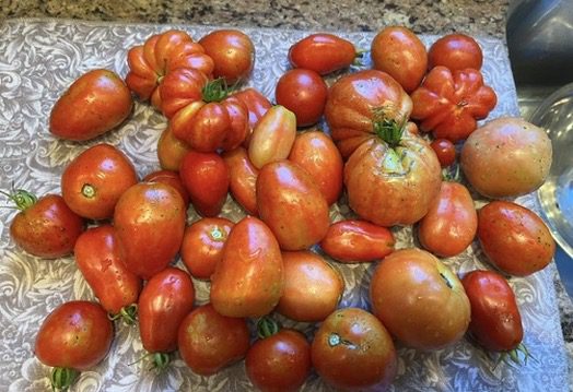 F4AED9BA-CD03-48CF-AECA-3EEBF7A1AFF5_4_5005_c