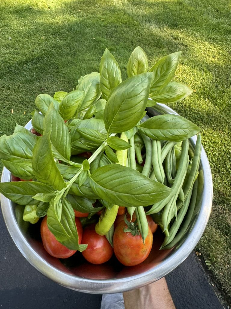 FD60C48C-3608-48F8-9515-154FEEEEFDA1_1_105_c