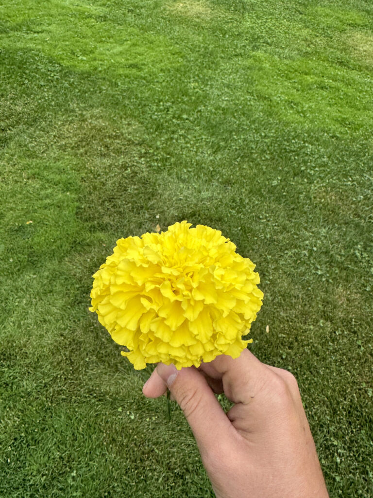 photo_2024-09-25_22-01-56