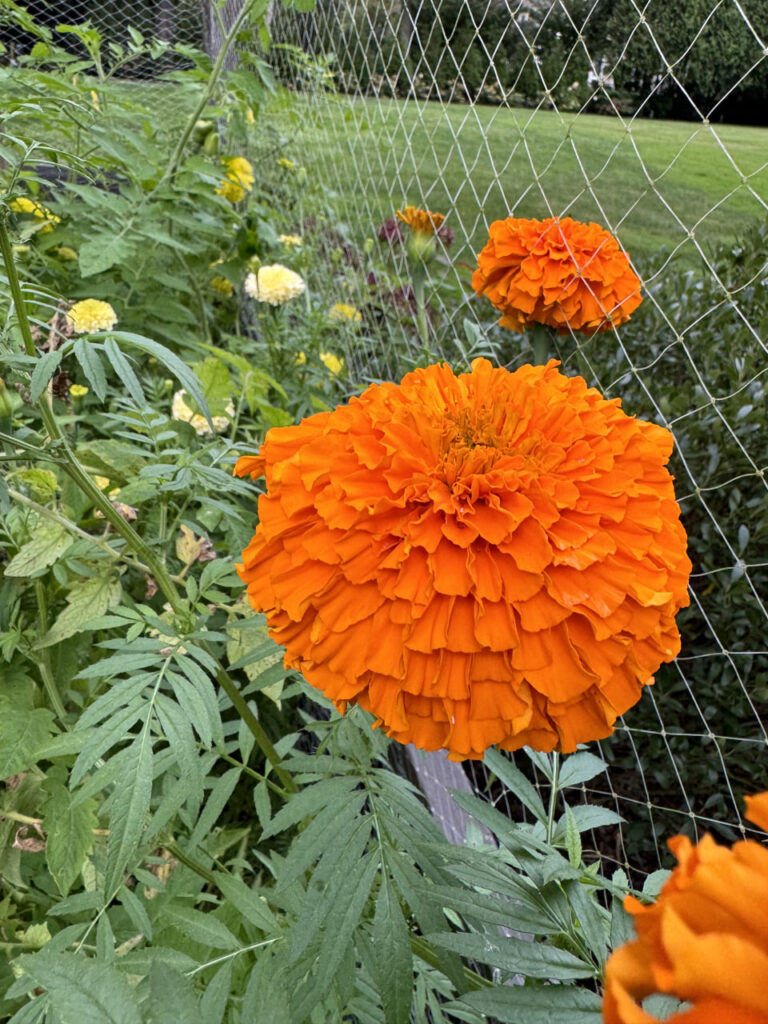 photo_2024-09-25_22-02-04