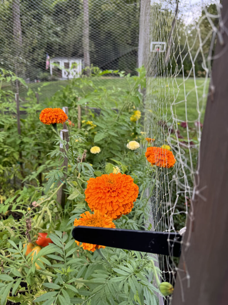 photo_2024-09-25_22-02-10