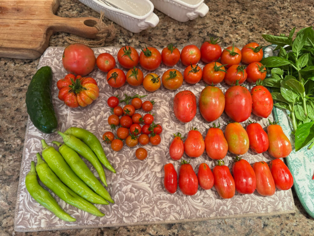 photo_2024-09-30_12-35-36