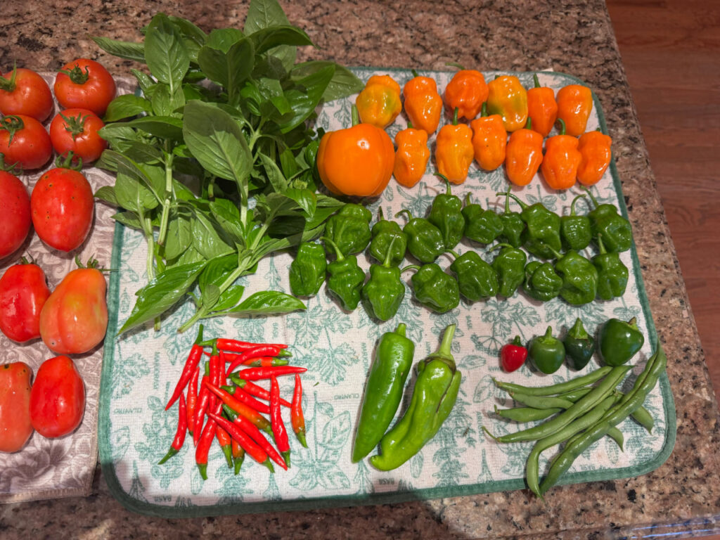 photo_2024-09-30_12-35-43