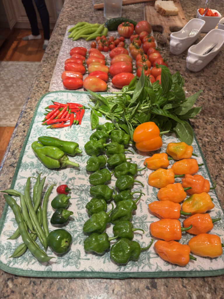 photo_2024-09-30_12-35-45