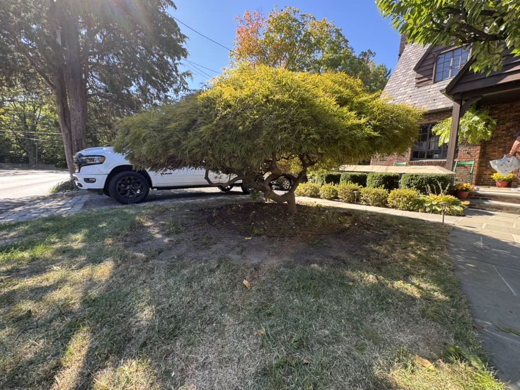 0BBE8E6B-A03A-44CC-BA4A-42D280642342_1_105_c