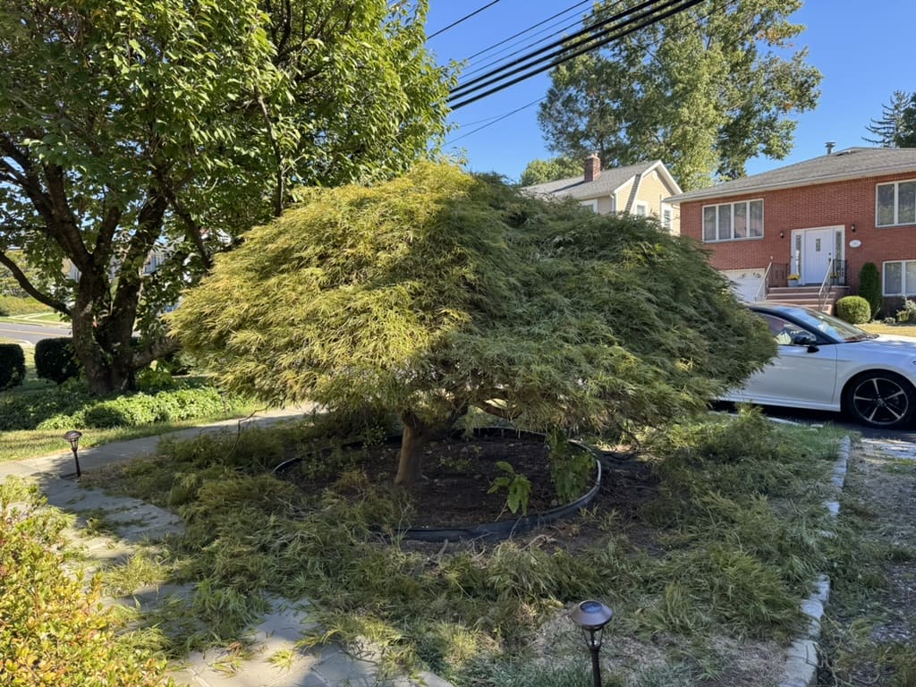 0D8ABA48-FB74-4CD6-8FF0-C3FBDE03D7F1_1_105_c