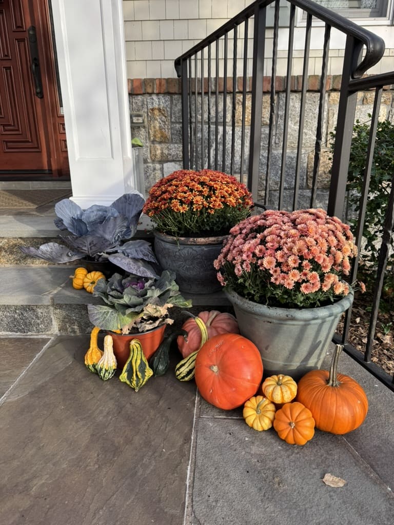 4D769AF0-028D-44C8-8CDC-539391BAA84F_1_105_c