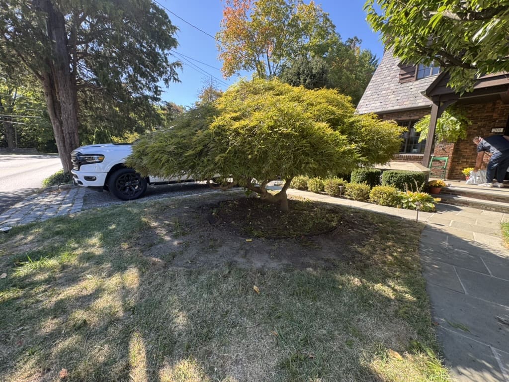 53038415-BE13-4818-940A-82AEBC458082_1_105_c