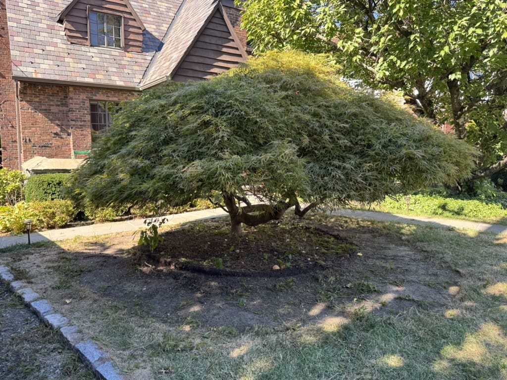 5E46B512-8A76-4903-A919-05EAB3D1C6CB_1_105_c