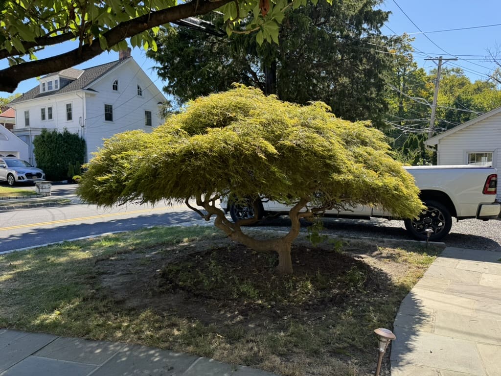 661CCD52-E3EE-4B31-A910-C37C49D3F189_1_105_c