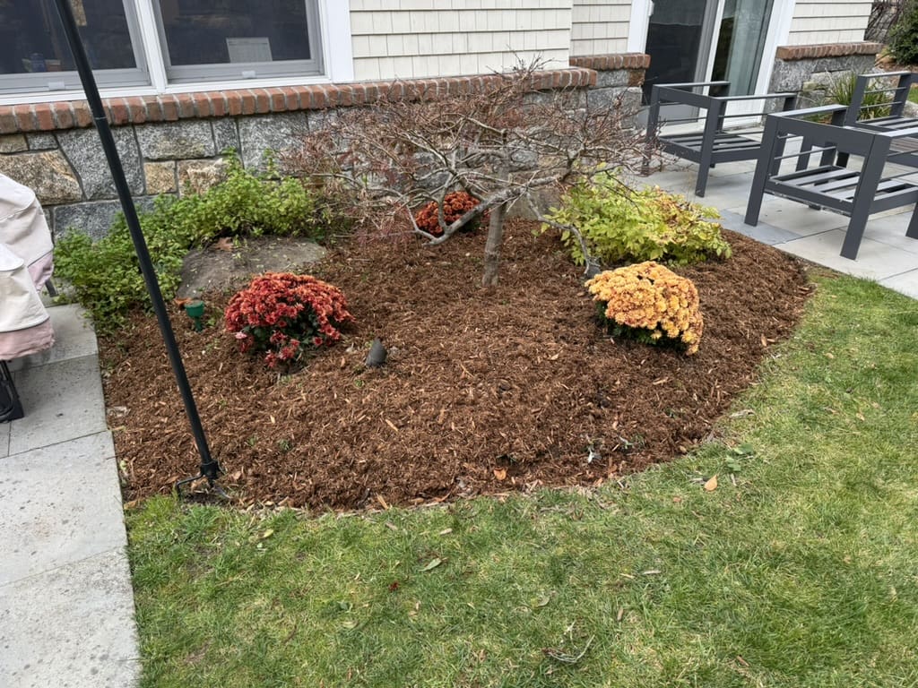 673C1618-1BA6-4B7F-A39D-CDF0101055A8_1_105_c