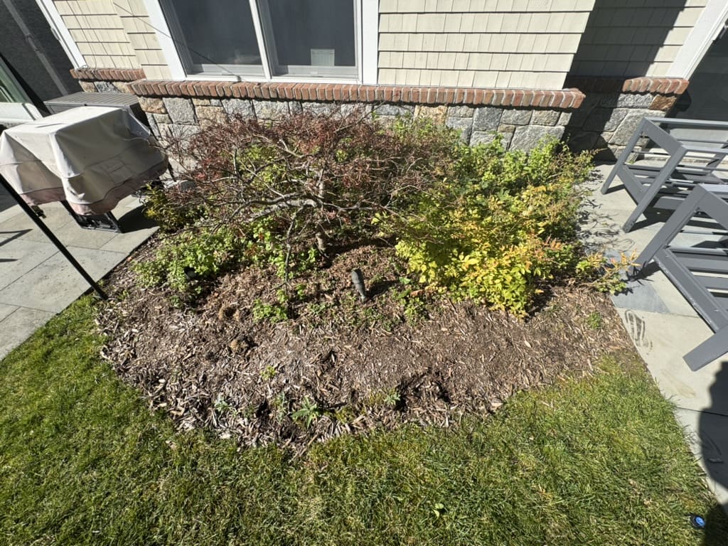 8C2D99BE-BDE5-4016-884D-9F0E8333203B_1_105_c