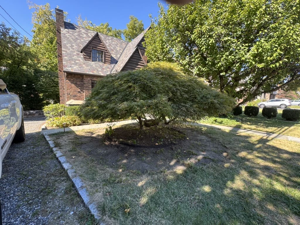 8DCF671C-35FD-4866-80BC-3B9FD9C0B1F3_1_105_c