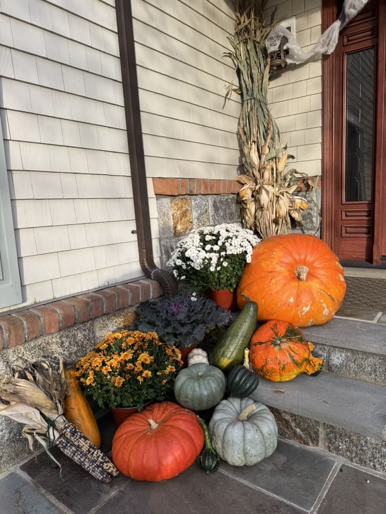 9277EE11-ED2D-4EE0-8FA1-15D8DB4D0A96_1_105_c