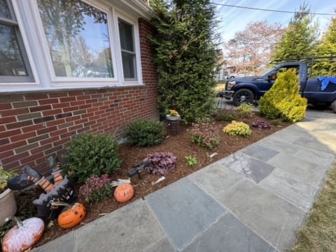 92AF164D-B21E-4A0A-8038-19BB2C9E588F_4_5005_c