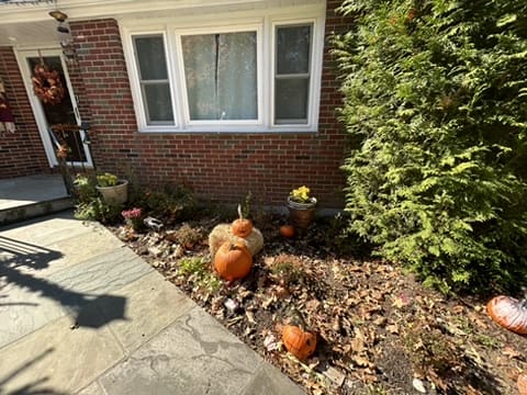 A4DAB608-9BF2-4F92-B0F2-7192646AB630_4_5005_c