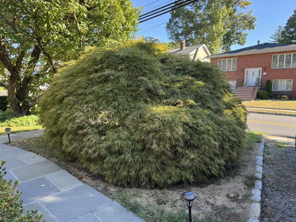 B6F3BB05-BD00-4E03-8BA2-BA794A57015C_1_105_c