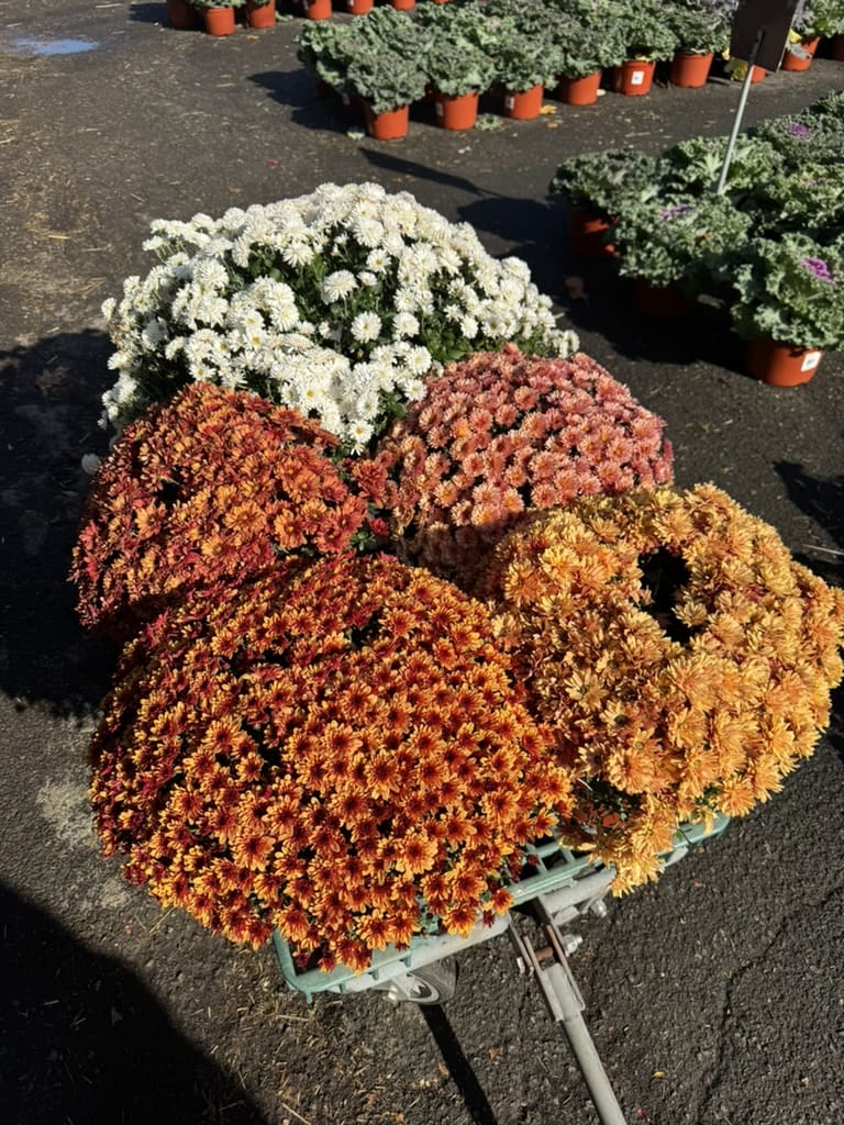 D34CD5B7-FCAB-4312-AB09-8C37214656CC_1_105_c