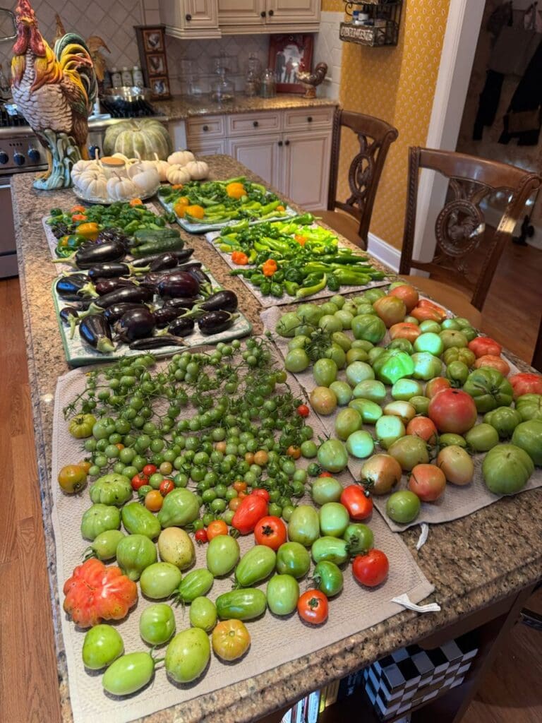 photo_11_2024-10-09_18-15-57