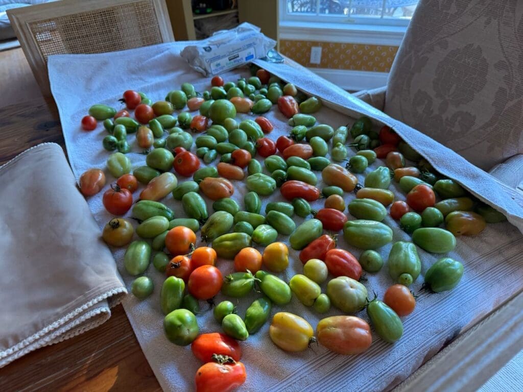 photo_12_2024-10-09_18-15-57