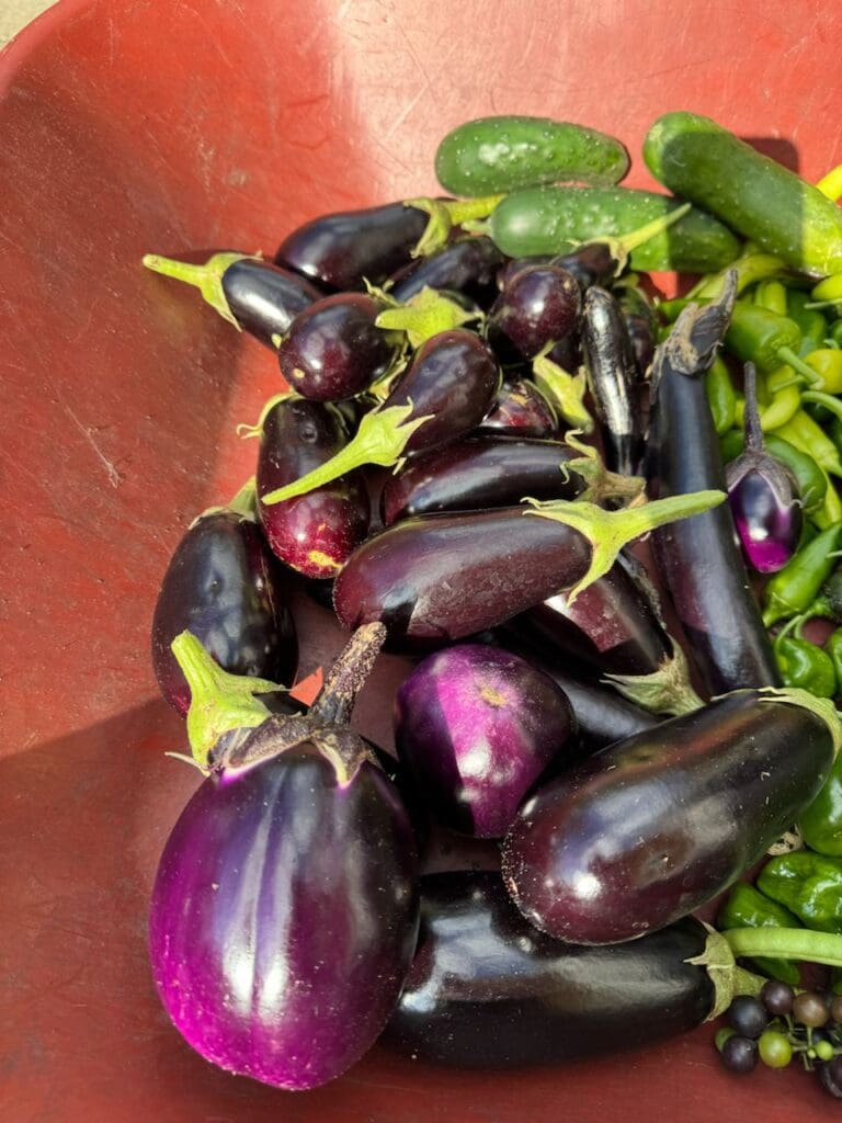 photo_13_2024-10-09_18-15-57