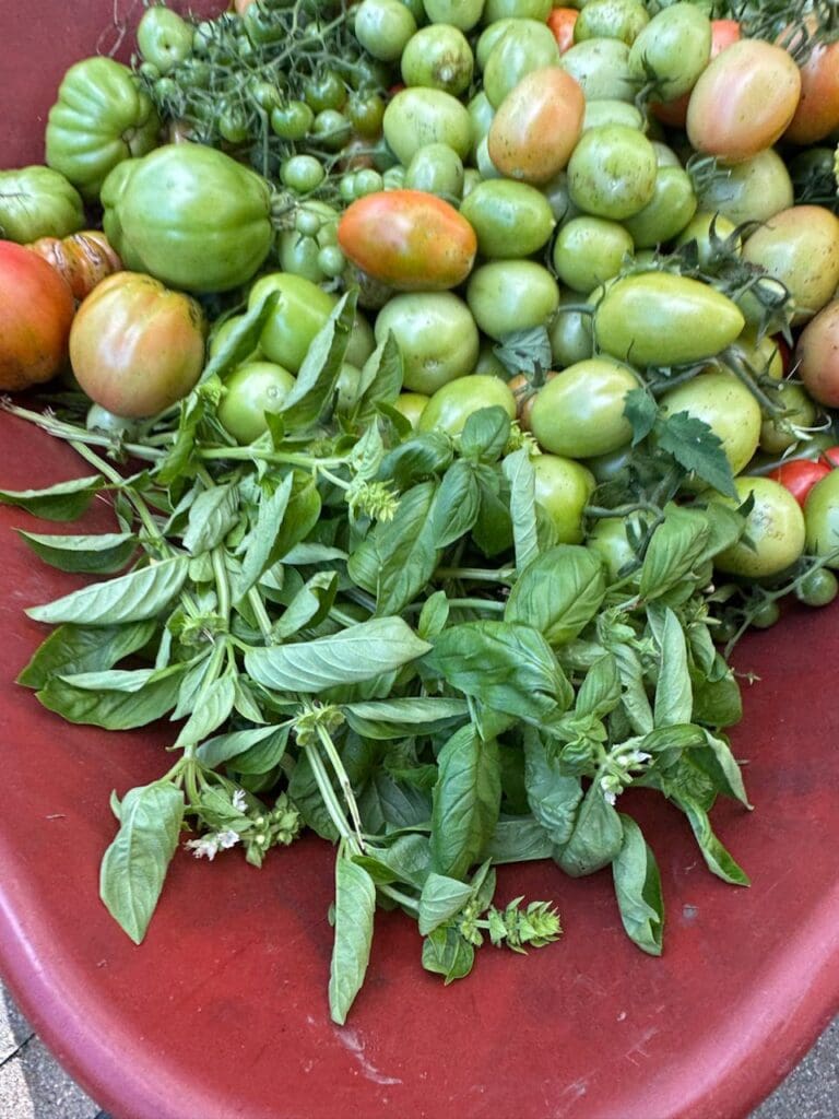 photo_14_2024-10-09_18-15-57