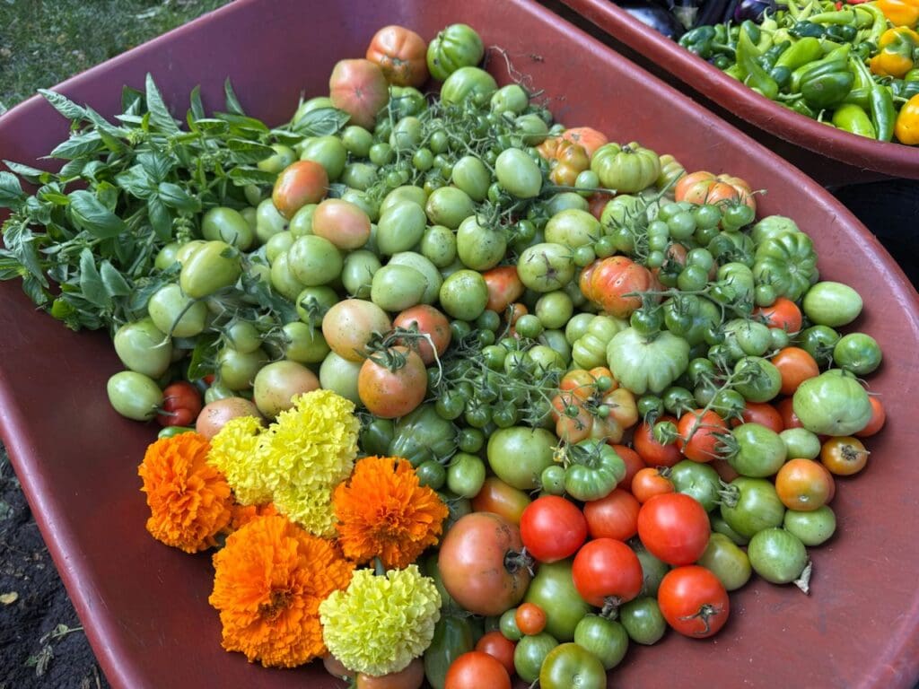 photo_15_2024-10-09_18-15-57